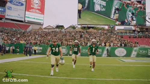 Football Game In Ford Stadium GIF