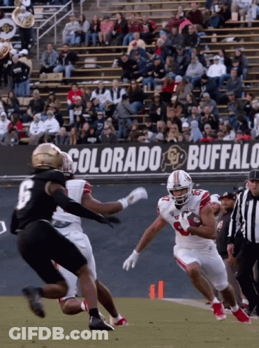 Football Game In Front Of Buffalo Banner GIF