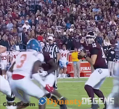 Football Game In Front Of Crowd Dynasty Degens GIF
