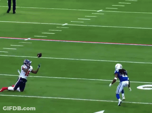 Football Game In Front Of Horseshoe Sign GIF