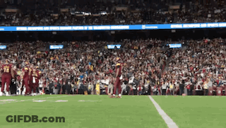 Football Game In Stadium With Crowd GIF