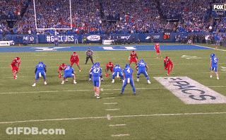 Football Game On Field Saying Fox GIF