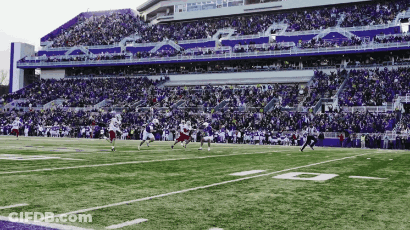 Football Game On Field With Purple Bleachers GIF