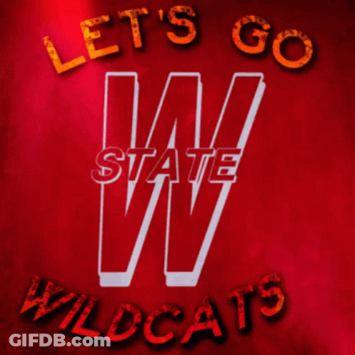 Football Game On Fox Sports GIF