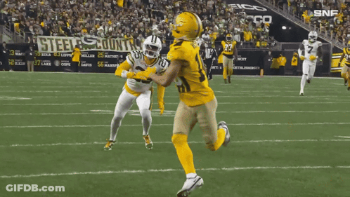 Football Game On Steelers Country Field GIF