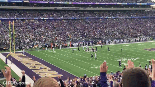 Football Game Playing In National Champions Stadium GIF
