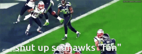Football Game Shut Up Seahawks Fan GIF
