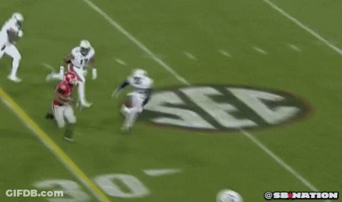 Football Game With Crowd Watching GIF