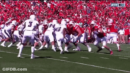 Football Game With Crowd Watching GIF