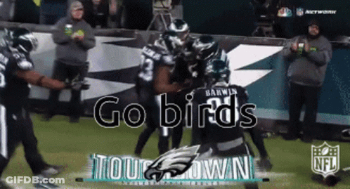 Football Game With Go Birds Tour Down GIF