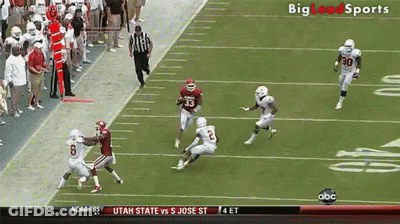 Football Game With Referee Walking On Field GIF