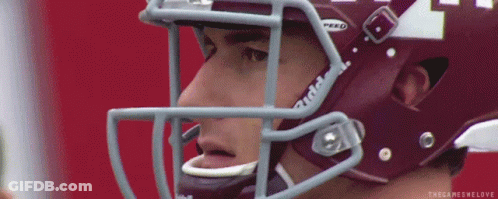 Football Helmet The Games We Love GIF