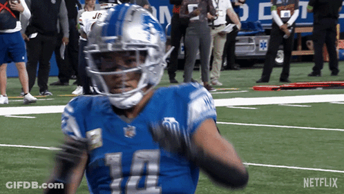 Football Helmet With Detroit Lions Logo GIF