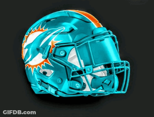 Football Helmet With Dolphin On Front GIF
