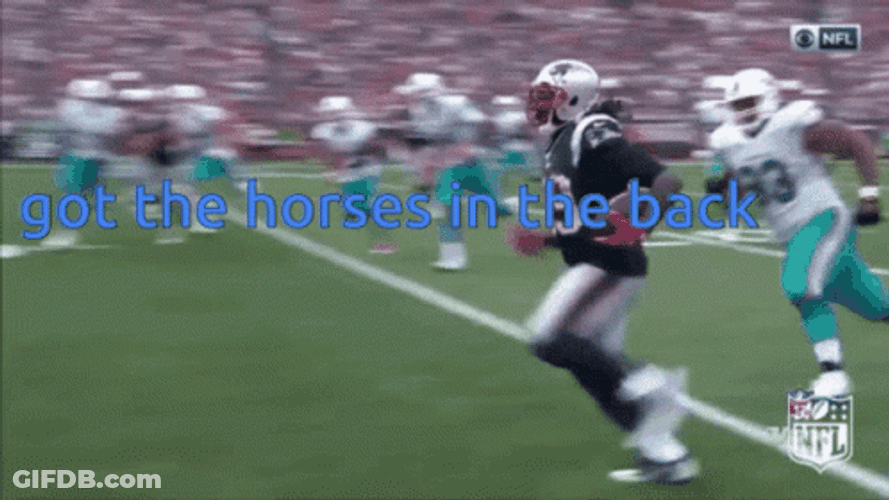 Football Is Here Got The Horses Back GIF