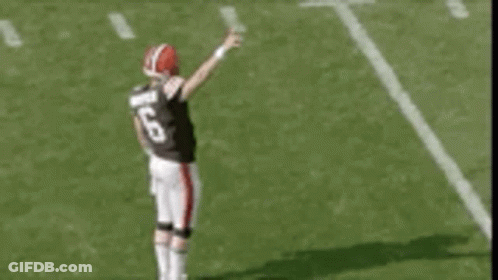 Football Player Arms In The Air GIF