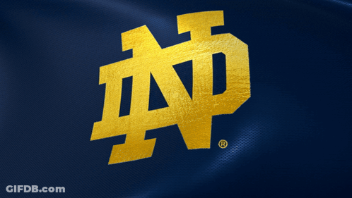 Football Player By Sign Play We A Champion Today GIF