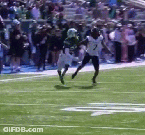 Football Player Catching Pass GIF