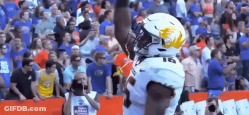 Football Player Celebrating Touchdown In Front Of Fans GIF