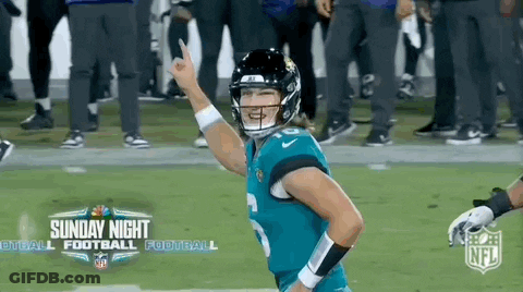 Football Player Giving Middle Finger On Field GIF