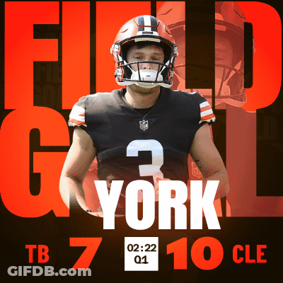 Football Player Helmet Field Goal 3 York GIF