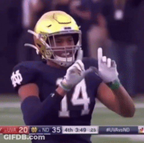 Football Player Helmet Number 14 GIF