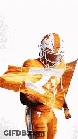 Football Player Holding Flag With Letter T GIF