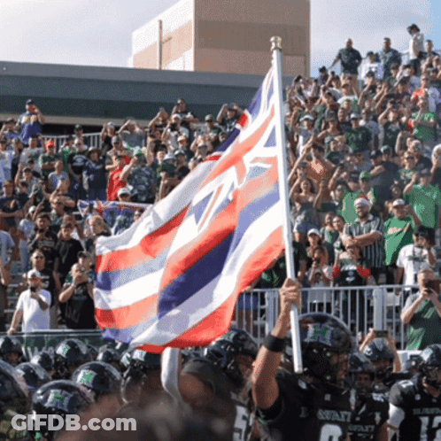 Football Player Holding Staff Flag GIF