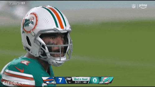 Football Player In Dolphins Helmet On Field GIF