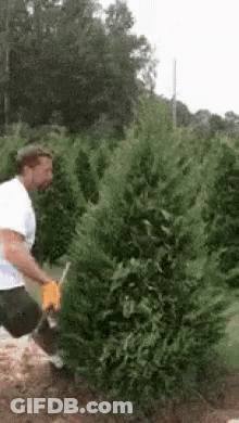 Football Player In Jersey Number 9 GIF