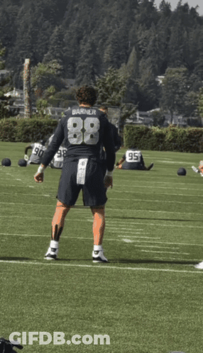 Football Player In Number 88 Jersey GIF
