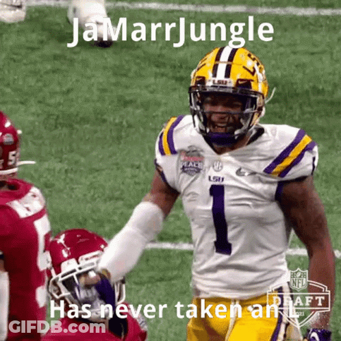 Football Player In Purple And Yellow Jersey GIF