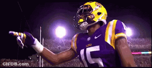 Football Player In Purple And Yellow Uniform Number 15 GIF