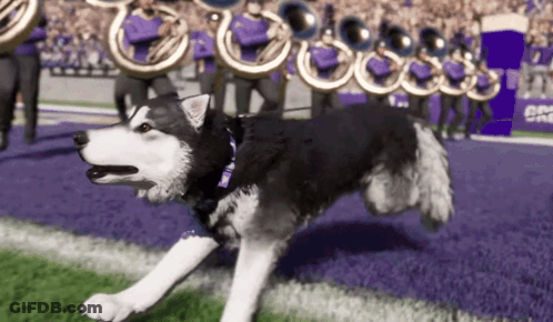 Football Player In Purple Jersey Number 1 GIF