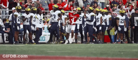 Football Player In Red Jersey Number 4 GIF