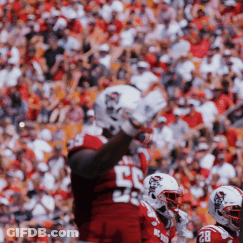 Football Player In Red Uniform Number 55 GIF