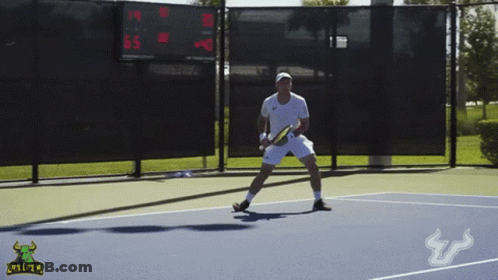 Football Player In South Florida Jersey GIF