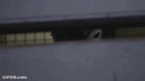 Football Player In White Jersey Number 12 GIF