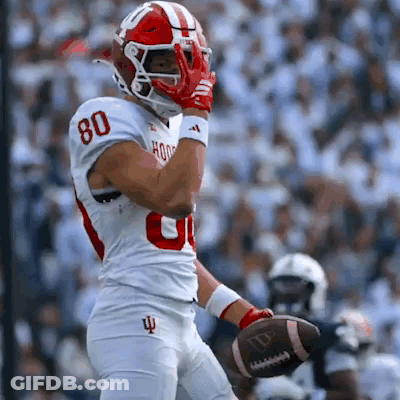 Football Player In White Jersey Number 80 GIF