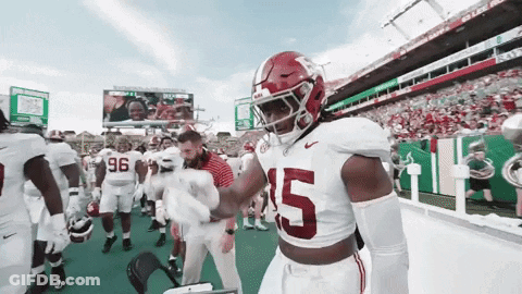 Football Player Jersey Number 15 GIF