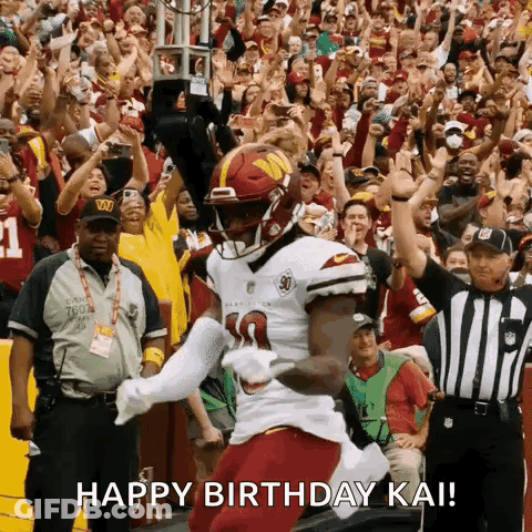 Football Player Jumping In Front Of Crowd GIF