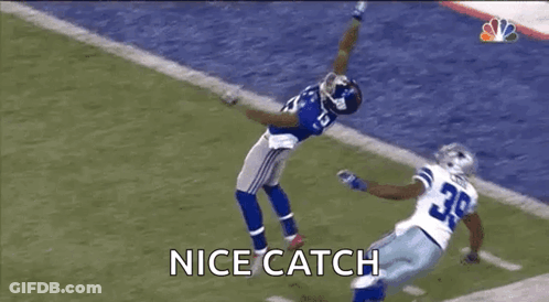 Football Player Making Nice Catch GIF