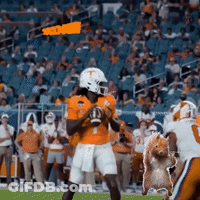 Football Player Number 1 Holding Ball GIF