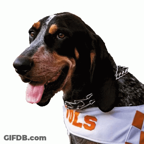 Football Player Number 1 Holding Ball GIF