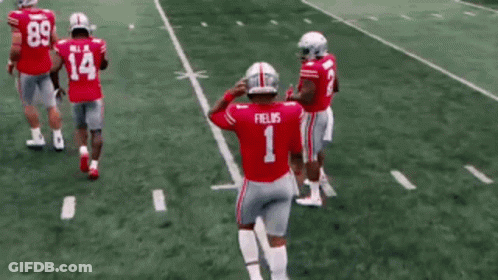 Football Player Number 1 GIF