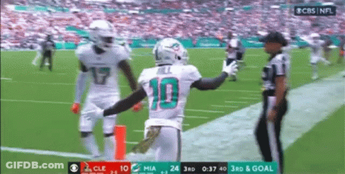 Football Player Number 10 On Field GIF