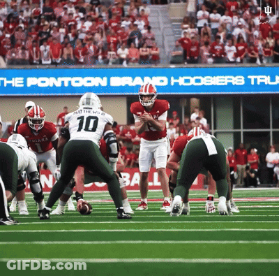 Football Player Number 10 Preparing To Throw Ball GIF