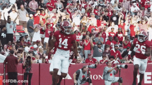 Football Player Number 14 GIF