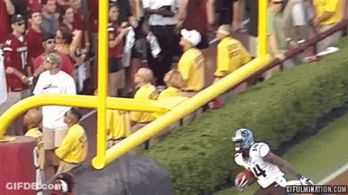 Football Player Number 14 Helmet GIF