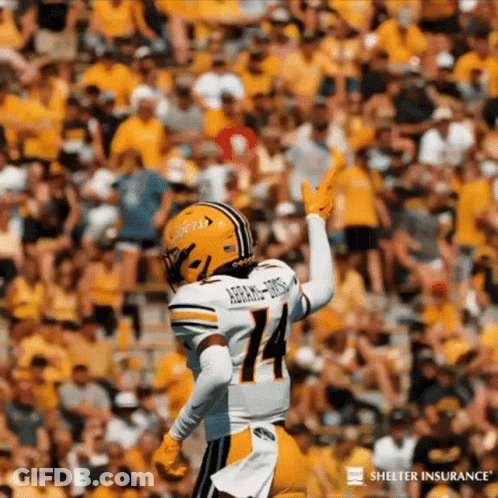 Football Player Number 14 In Front Of Crowd GIF